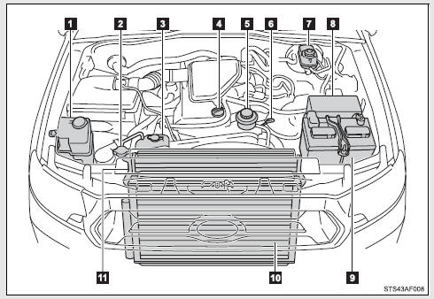 1. Washer fluid tank